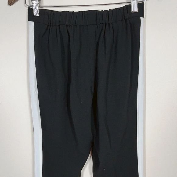 Aritzia Babaton Conan  Pant - Picture 11 of 13